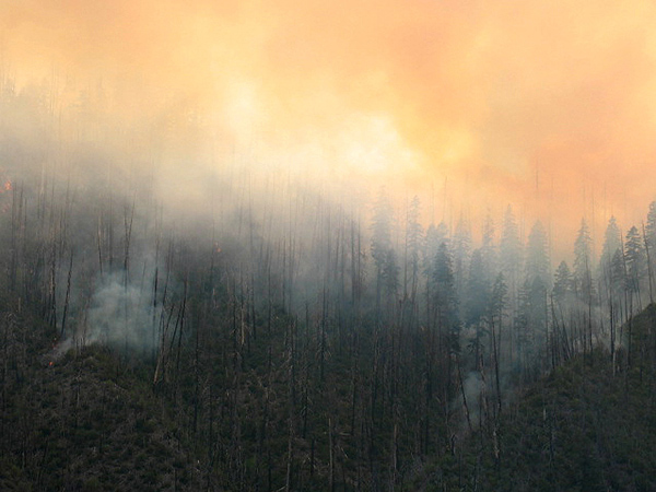 The Labrador Fire at about 9:00 p.m. July 26th.