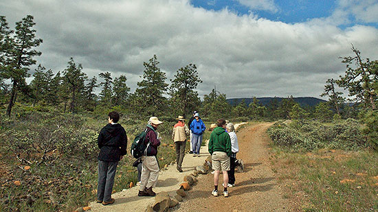 An early spring wildflower walk at the Rough and Ready Creek Area of Critical Environmental Concern. Bob Ziller photo.